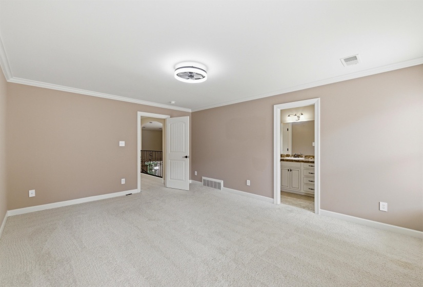 Spacious room featuring neutral carpeting, crown molding, a modern flush-mount light fixture, and two panel doors