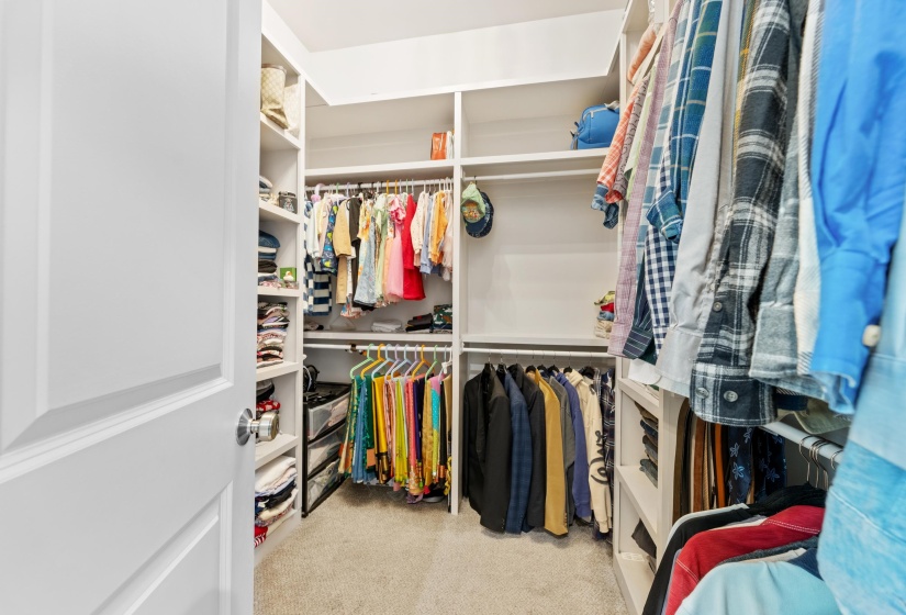 Spacious walk-in closet featuring white built-in shelving, multiple hanging rods, and carpet flooring