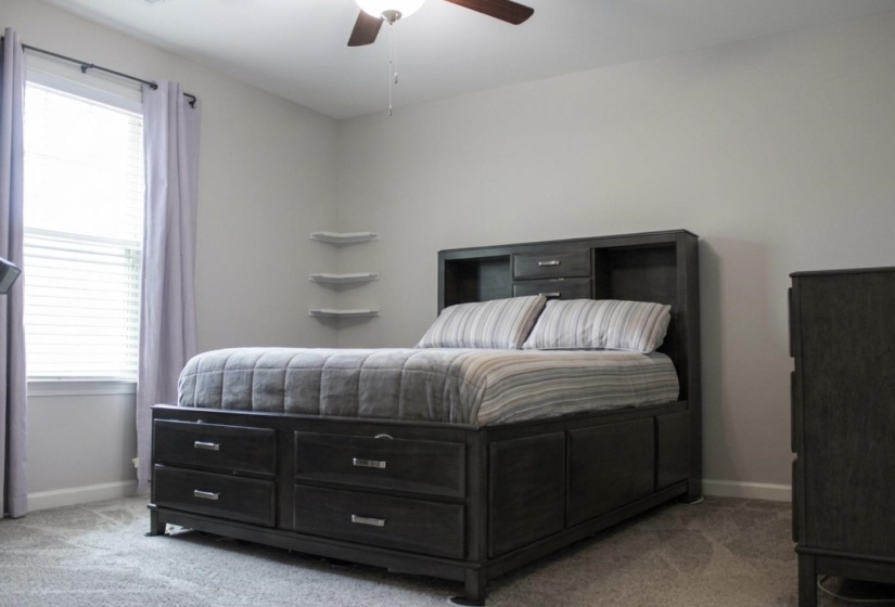 Room featuring a window with blinds and drapes, light gray walls, and carpeted flooring