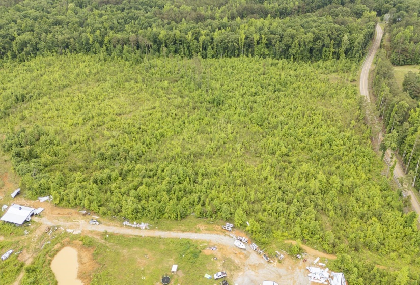 0000 LEAPWOOD ENVILLE RD, Adamsville, Tennessee 38310, 0 , 0 ,0,Land,For Sale,LEAPWOOD ENVILLE,0,10222638