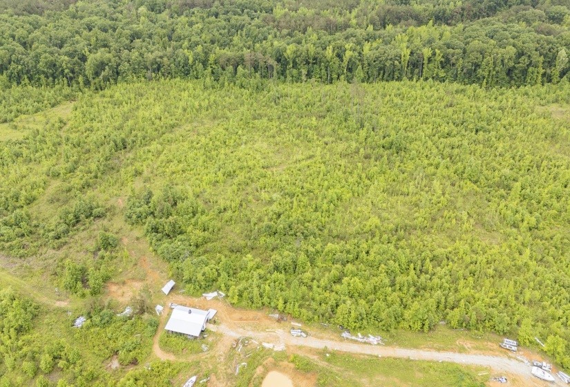 0000 LEAPWOOD ENVILLE RD, Adamsville, Tennessee 38310, 0 , 0 ,0,Land,For Sale,LEAPWOOD ENVILLE,0,10222638