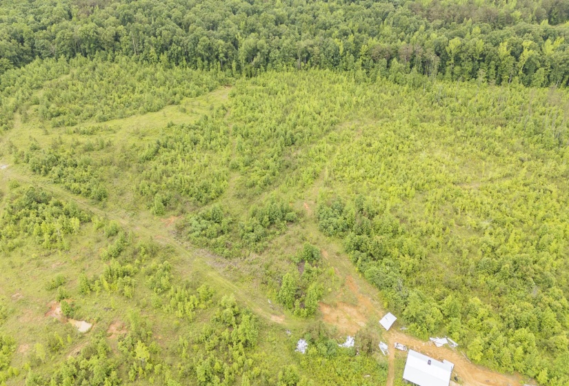 0000 LEAPWOOD ENVILLE RD, Adamsville, Tennessee 38310, 0 , 0 ,0,Land,For Sale,LEAPWOOD ENVILLE,0,10222638