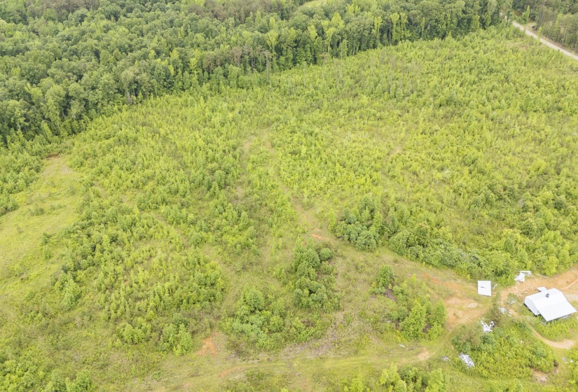 0000 LEAPWOOD ENVILLE RD, Adamsville, Tennessee 38310, 0 , 0 ,0,Land,For Sale,LEAPWOOD ENVILLE,0,10222638