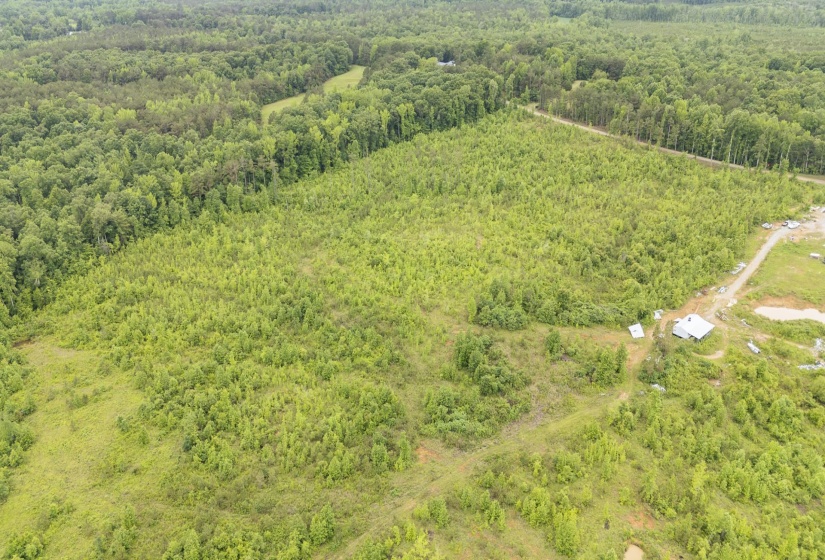 0000 LEAPWOOD ENVILLE RD, Adamsville, Tennessee 38310, 0 , 0 ,0,Land,For Sale,LEAPWOOD ENVILLE,0,10222638