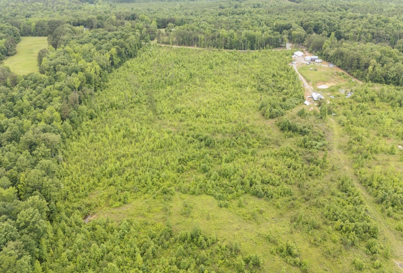 0000 LEAPWOOD ENVILLE RD, Adamsville, Tennessee 38310, 0 , 0 ,0,Land,For Sale,LEAPWOOD ENVILLE,0,10222638