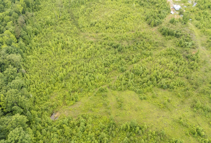 0000 LEAPWOOD ENVILLE RD, Adamsville, Tennessee 38310, 0 , 0 ,0,Land,For Sale,LEAPWOOD ENVILLE,0,10222638