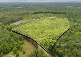 0000 LEAPWOOD ENVILLE RD, Adamsville, Tennessee 38310, 0 , 0 ,0,Land,For Sale,LEAPWOOD ENVILLE,0,10222638 0000 LEAPWOOD ENVILLE RD, Adamsville, Tennessee 38310, 0 , 0 ,0,Land,For Sale,LEAPWOOD ENVILLE,0,10222638