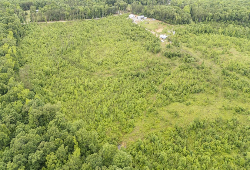 0000 LEAPWOOD ENVILLE RD, Adamsville, Tennessee 38310, 0 , 0 ,0,Land,For Sale,LEAPWOOD ENVILLE,0,10222638