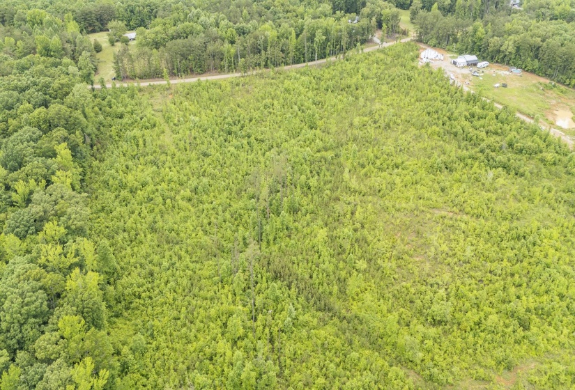 0000 LEAPWOOD ENVILLE RD, Adamsville, Tennessee 38310, 0 , 0 ,0,Land,For Sale,LEAPWOOD ENVILLE,0,10222638