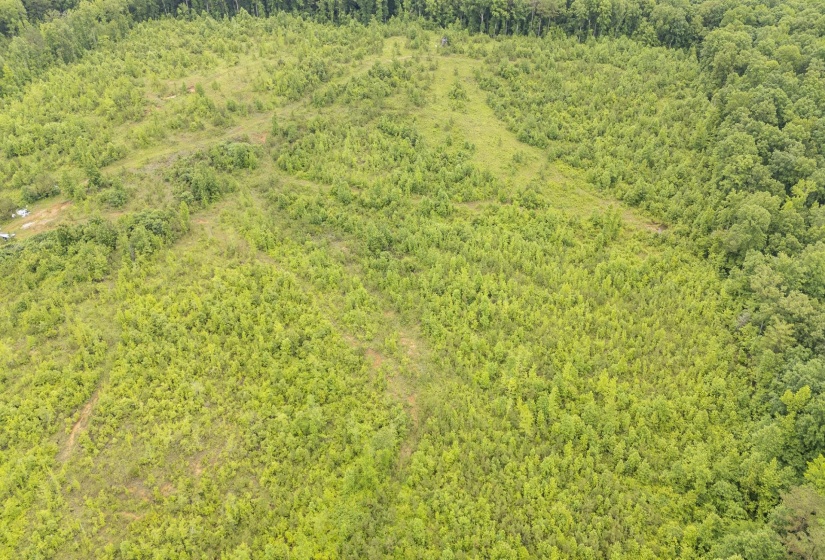0000 LEAPWOOD ENVILLE RD, Adamsville, Tennessee 38310, 0 , 0 ,0,Land,For Sale,LEAPWOOD ENVILLE,0,10222638