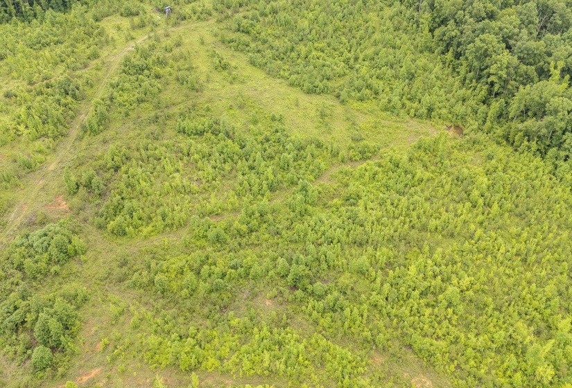 0000 LEAPWOOD ENVILLE RD, Adamsville, Tennessee 38310, 0 , 0 ,0,Land,For Sale,LEAPWOOD ENVILLE,0,10222638