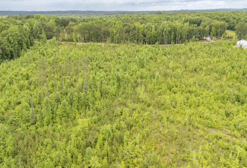 0000 LEAPWOOD ENVILLE RD, Adamsville, Tennessee 38310, 0 , 0 ,0,Land,For Sale,LEAPWOOD ENVILLE,0,10222638