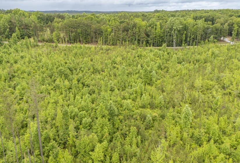 0000 LEAPWOOD ENVILLE RD, Adamsville, Tennessee 38310, 0 , 0 ,0,Land,For Sale,LEAPWOOD ENVILLE,0,10222638