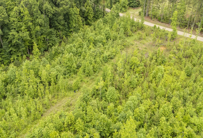 0000 LEAPWOOD ENVILLE RD, Adamsville, Tennessee 38310, 0 , 0 ,0,Land,For Sale,LEAPWOOD ENVILLE,0,10222638
