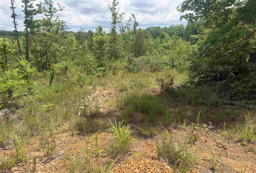 0000 LEAPWOOD ENVILLE RD, Adamsville, Tennessee 38310, 0 , 0 ,0,Land,For Sale,LEAPWOOD ENVILLE,0,10222638