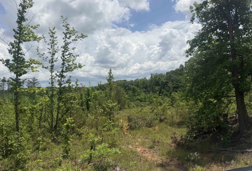 0000 LEAPWOOD ENVILLE RD, Adamsville, Tennessee 38310, 0 , 0 ,0,Land,For Sale,LEAPWOOD ENVILLE,0,10222638