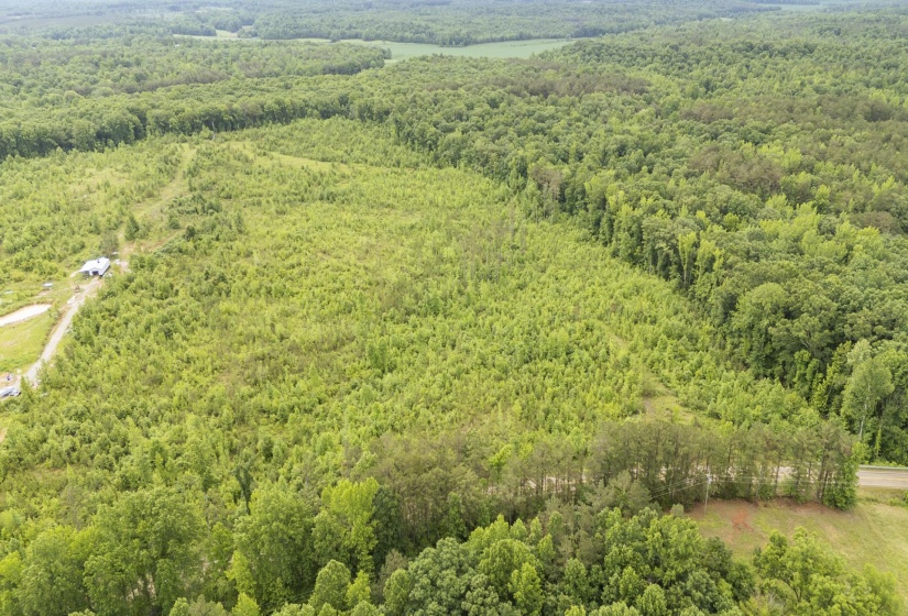 0000 LEAPWOOD ENVILLE RD, Adamsville, Tennessee 38310, 0 , 0 ,0,Land,For Sale,LEAPWOOD ENVILLE,0,10222638