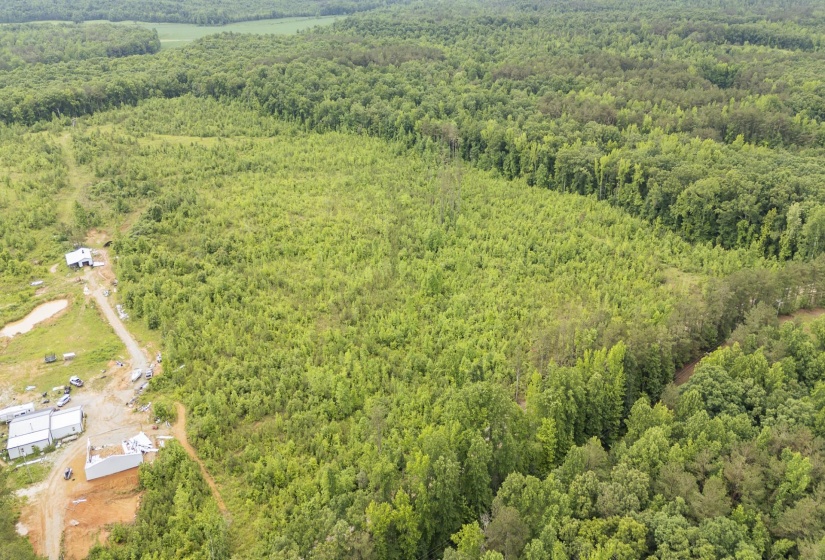 0000 LEAPWOOD ENVILLE RD, Adamsville, Tennessee 38310, 0 , 0 ,0,Land,For Sale,LEAPWOOD ENVILLE,0,10222638