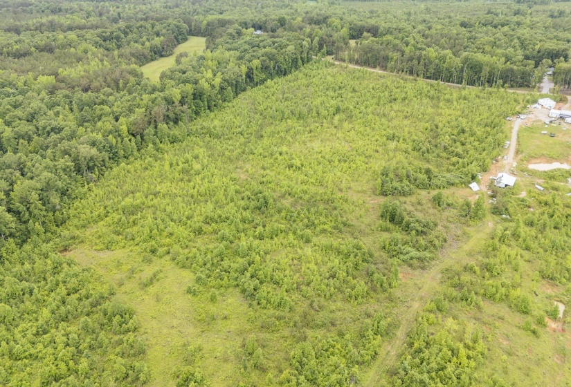 0000 LEAPWOOD ENVILLE RD, Adamsville, Tennessee 38310, 0 , 0 ,0,Land,For Sale,LEAPWOOD ENVILLE,0,10222638