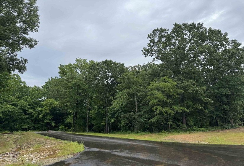 15 MILLBURY CV, Eads, Tennessee 38028, ,Land,For Sale,MILLBURY,10222659