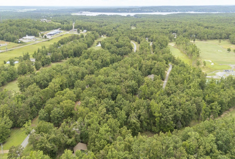 LOT 527 MASTERS CT, Counce, Tennessee 38326, ,Land,For Sale,MASTERS,10222663