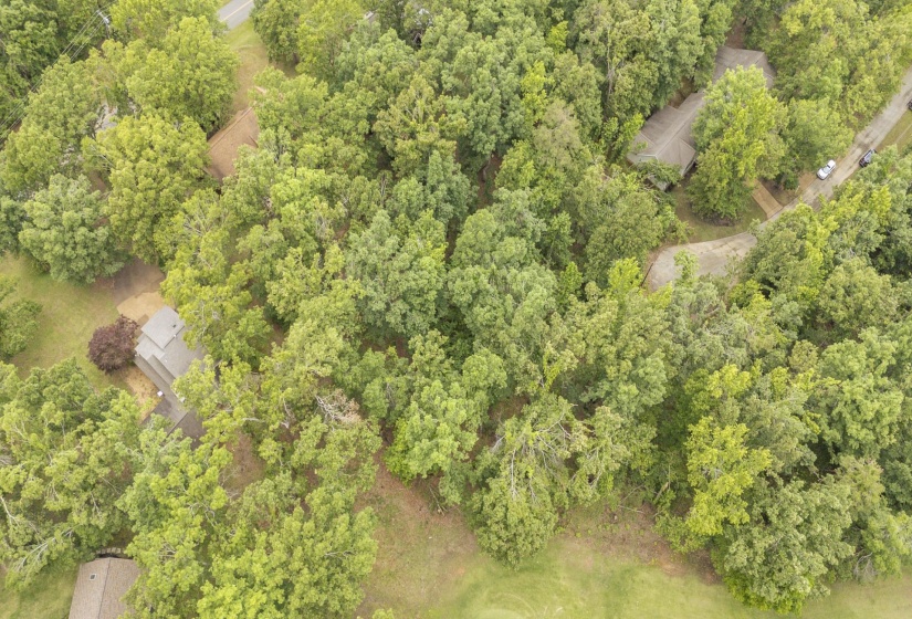 LOT 527 MASTERS CT, Counce, Tennessee 38326, ,Land,For Sale,MASTERS,10222663