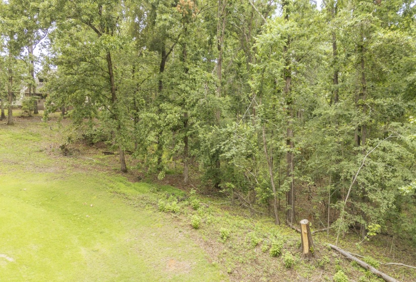 LOT 527 MASTERS CT, Counce, Tennessee 38326, ,Land,For Sale,MASTERS,10222663