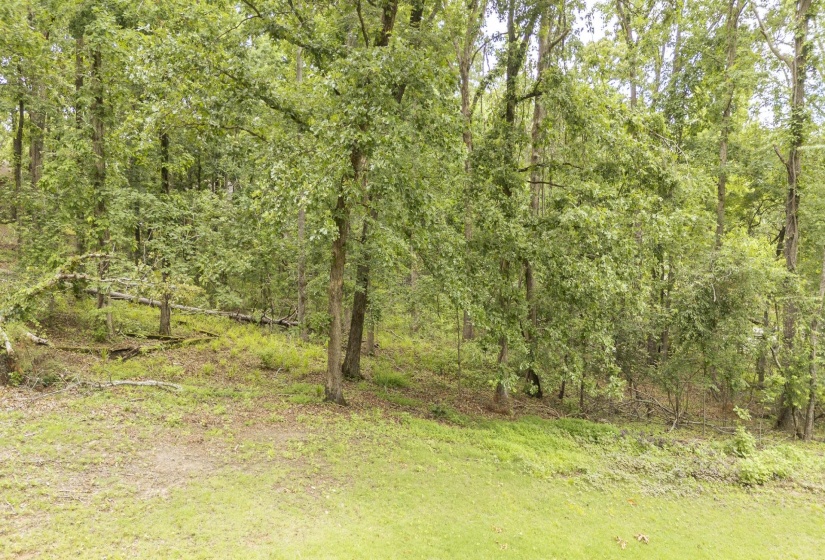 LOT 527 MASTERS CT, Counce, Tennessee 38326, ,Land,For Sale,MASTERS,10222663