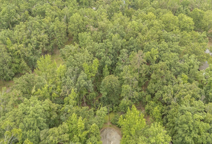 LOT 527 MASTERS CT, Counce, Tennessee 38326, ,Land,For Sale,MASTERS,10222663