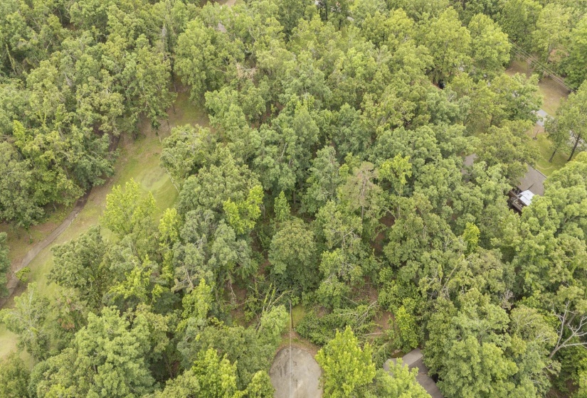 LOT 527 MASTERS CT, Counce, Tennessee 38326, ,Land,For Sale,MASTERS,10222663