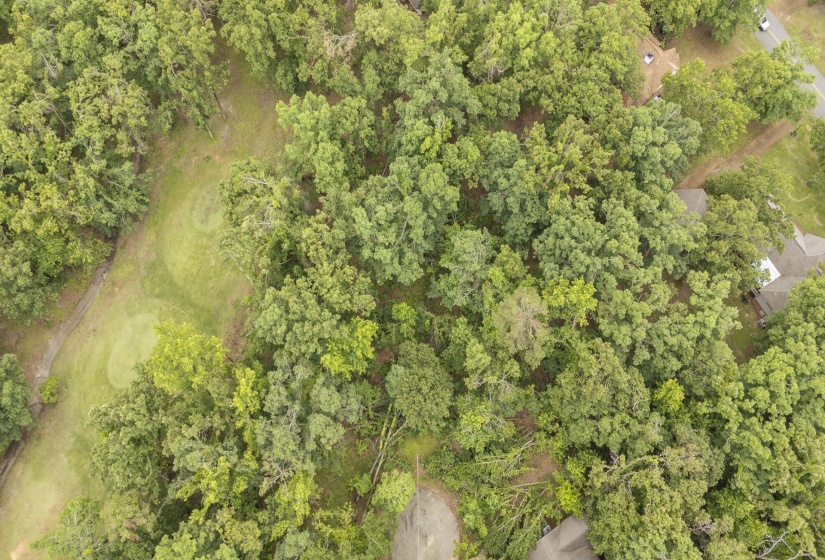 LOT 527 MASTERS CT, Counce, Tennessee 38326, ,Land,For Sale,MASTERS,10222663