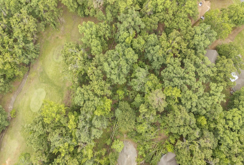 LOT 527 MASTERS CT, Counce, Tennessee 38326, ,Land,For Sale,MASTERS,10222663