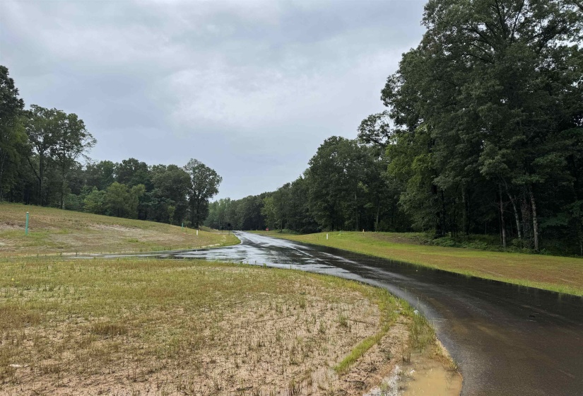 25 MILLBURY CV, Eads, Tennessee 38028, ,Land,For Sale,MILLBURY,10222665