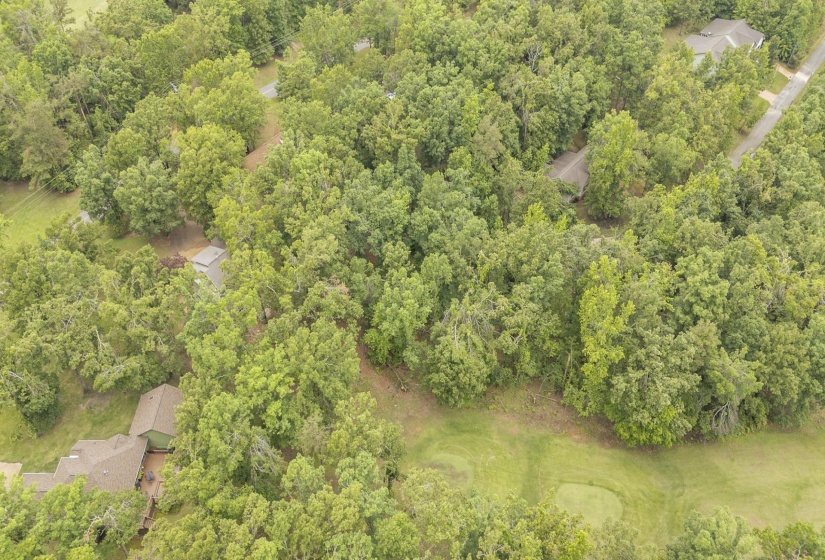 LOT 528 MASTERS CT, Counce, Tennessee 38326, ,Land,For Sale,MASTERS,10222666