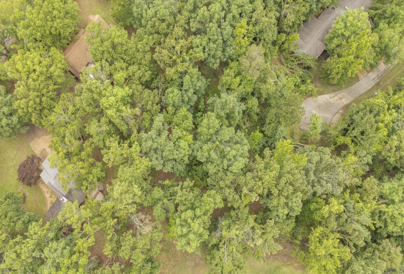 LOT 528 MASTERS CT, Counce, Tennessee 38326, ,Land,For Sale,MASTERS,10222666