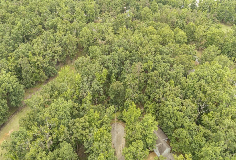 LOT 528 MASTERS CT, Counce, Tennessee 38326, ,Land,For Sale,MASTERS,10222666