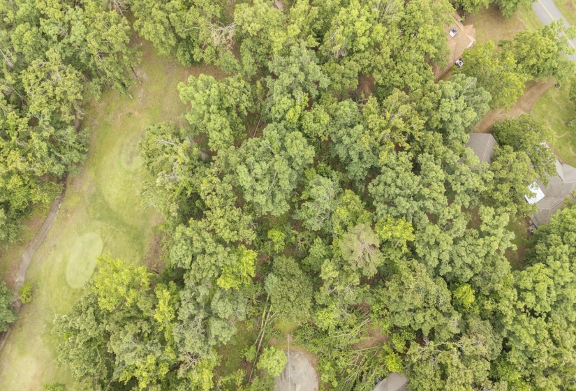 LOT 528 MASTERS CT, Counce, Tennessee 38326, ,Land,For Sale,MASTERS,10222666
