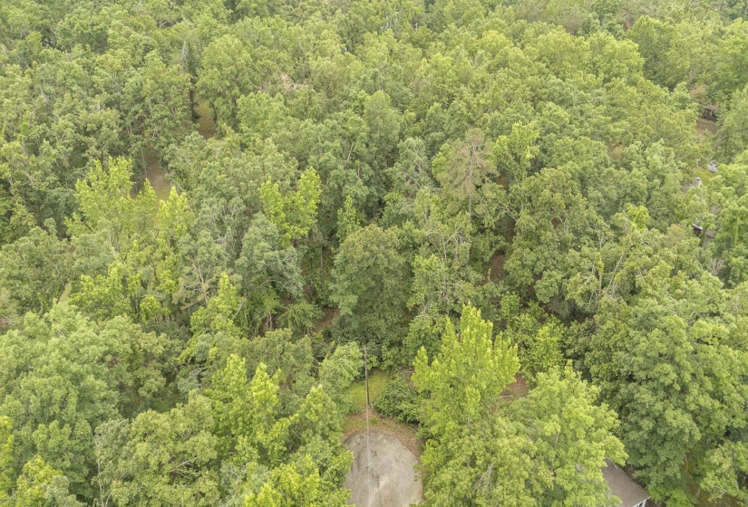 LOT 528 MASTERS CT, Counce, Tennessee 38326, ,Land,For Sale,MASTERS,10222666