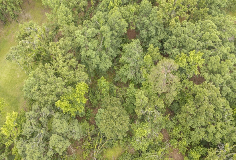 LOT 528 MASTERS CT, Counce, Tennessee 38326, ,Land,For Sale,MASTERS,10222666