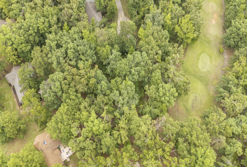 LOT 528 MASTERS CT, Counce, Tennessee 38326, ,Land,For Sale,MASTERS,10222666