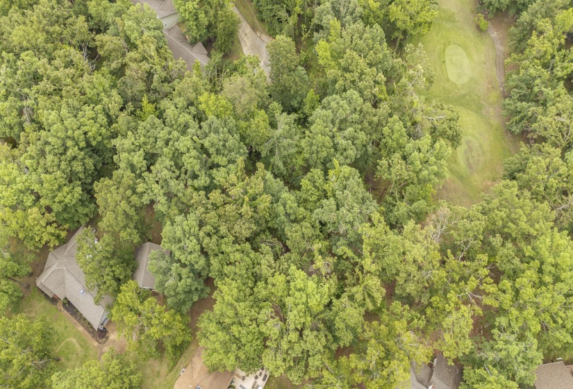 LOT 528 MASTERS CT, Counce, Tennessee 38326, ,Land,For Sale,MASTERS,10222666