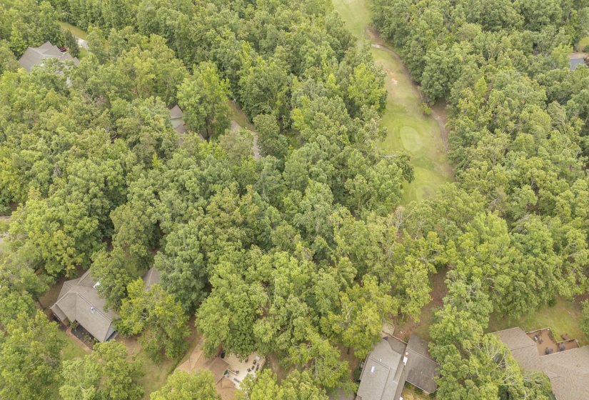 LOT 528 MASTERS CT, Counce, Tennessee 38326, ,Land,For Sale,MASTERS,10222666