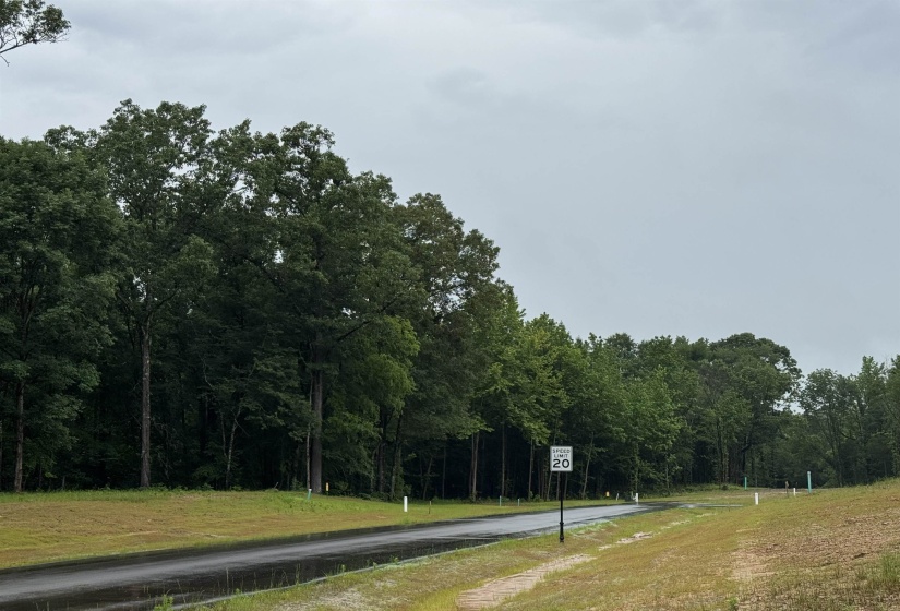 30 MILLBURY CV, Eads, Tennessee 38028, ,Land,For Sale,MILLBURY,10222674