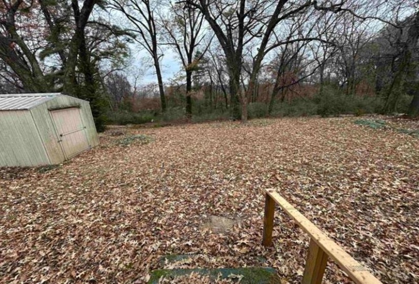 Expansive outdoor area featuring mature trees and ample space