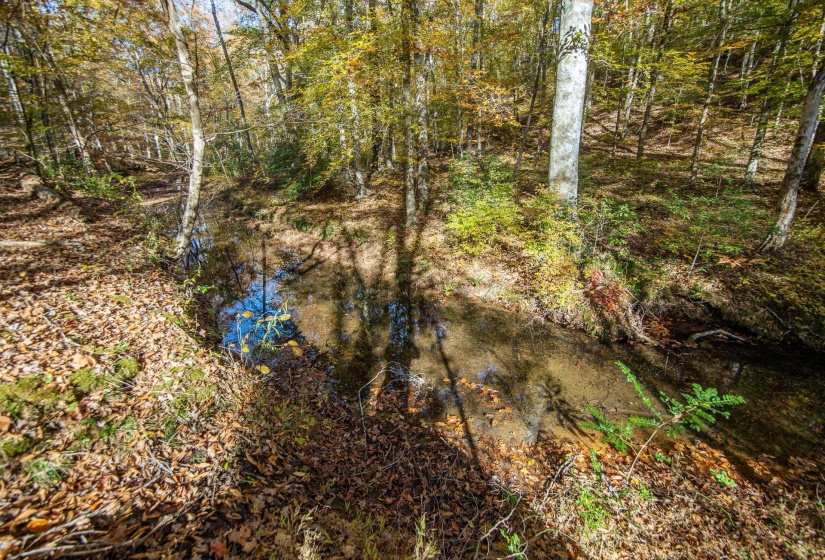 2411 KEAZEY HOLLOW RD, Waynesboro, Tennessee 38485, 4 Bedroom Bedrooms, 13 Room Rooms,3.2 BathroomBathrooms,Residential,For Sale,KEAZEY HOLLOW,0,10222670