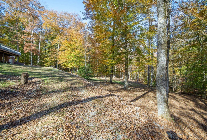 2411 KEAZEY HOLLOW RD, Waynesboro, Tennessee 38485, 4 Bedroom Bedrooms, 13 Room Rooms,3.2 BathroomBathrooms,Residential,For Sale,KEAZEY HOLLOW,0,10222670