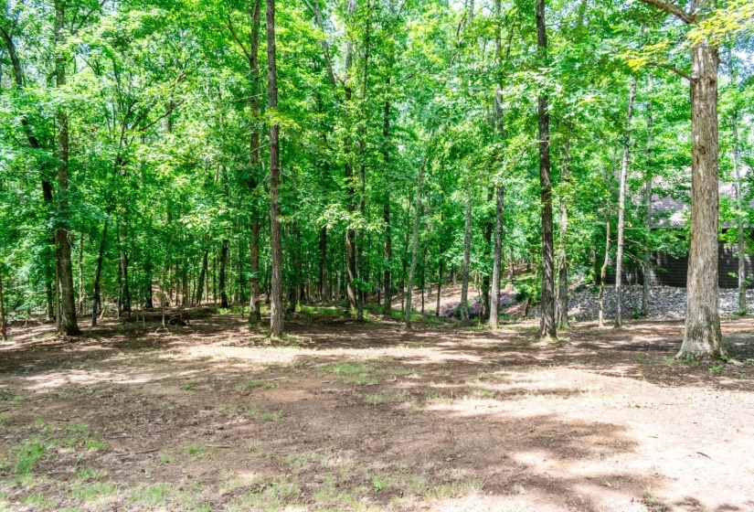215 L SEALY CV, Counce, Tennessee 38326, 3 Bedrooms Bedrooms, 4 Rooms Rooms,2 BathroomsBathrooms,Residential,For Sale,L SEALY,10222709