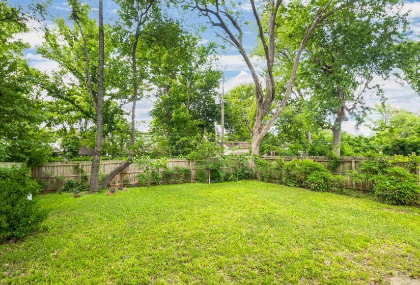 Expansive lawn area surrounded by mature trees, privacy fencing, and established shrubs