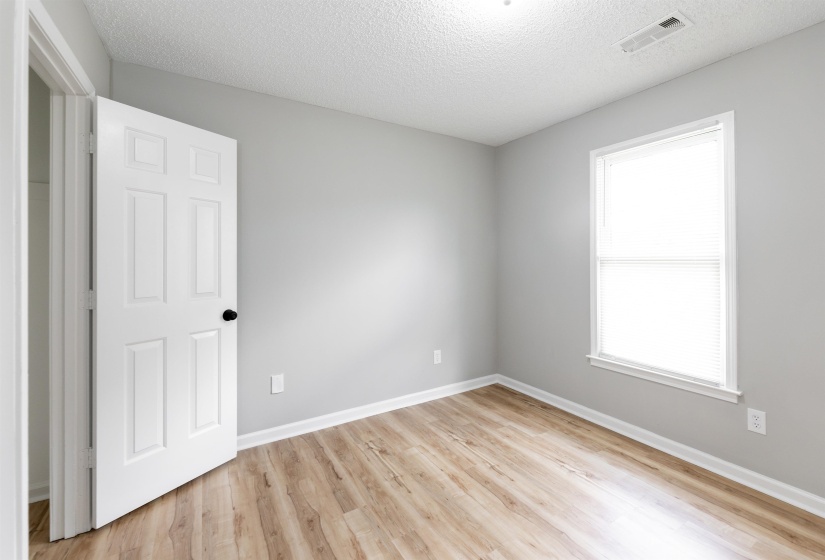 Room with wood-finish flooring, light gray walls, and white trim