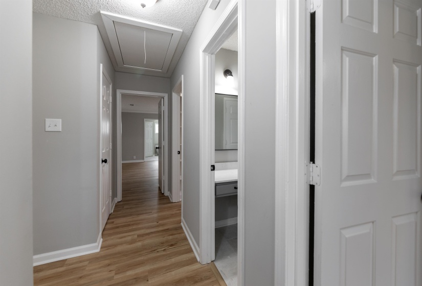 Hallway featuring wood-finish flooring, light gray walls, white trim, and multiple doorways